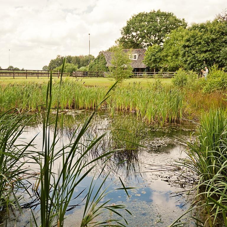 Bed and Breakfast Landrop Bed & Breakfast Hoogeloon Exteriér fotografie